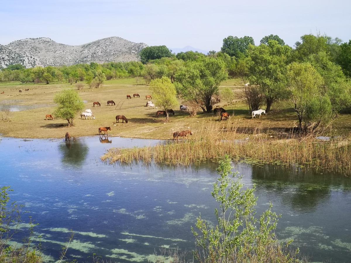 Wild Beauty House Skadar Lake Cetinje Exterior foto